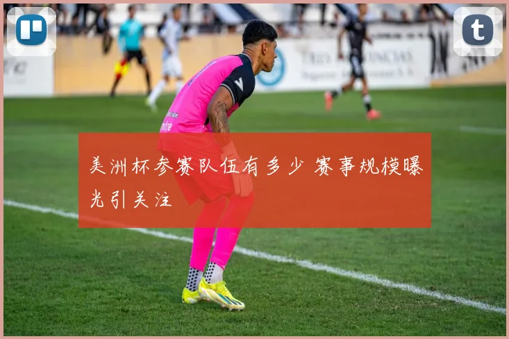 美洲杯参赛队伍有多少 赛事规模曝光引关注