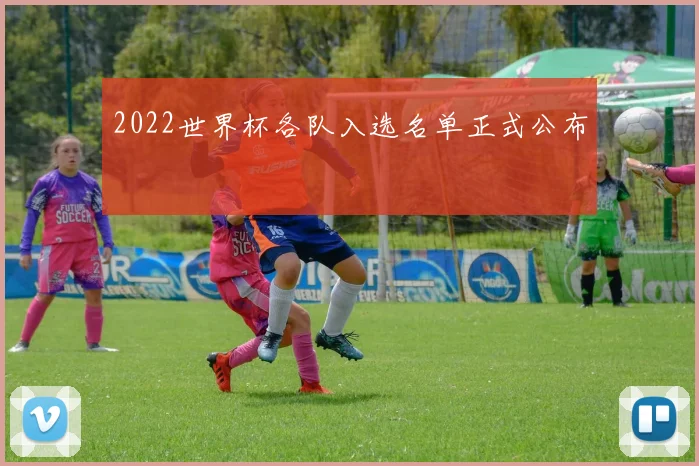 2022世界杯各队入选名单正式公布