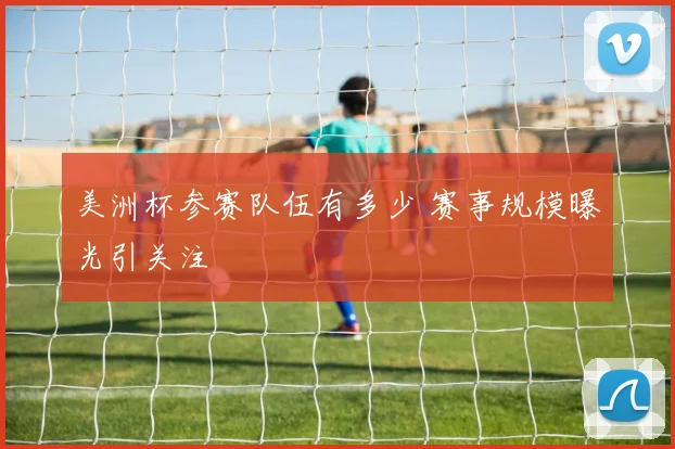 美洲杯参赛队伍有多少 赛事规模曝光引关注