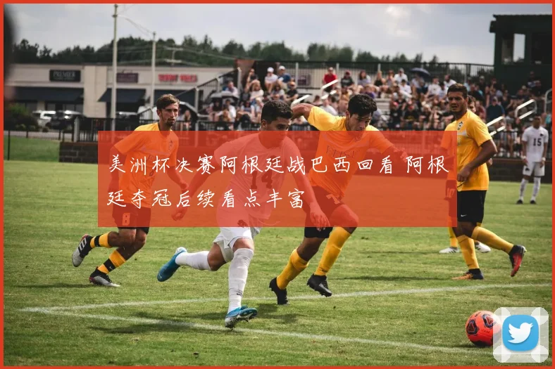 美洲杯决赛阿根廷战巴西回看 阿根廷夺冠后续看点丰富