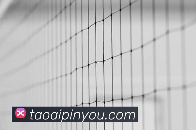 球盟会 - 网页版|登录 - 球盟会服务体系