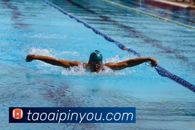 多媒体互动体验